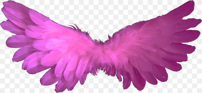 Angel Clip Art, PNG, 1920x888px, Angel, Feather, Heaven, Image File Formats, Magenta Download Free