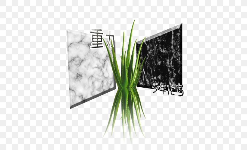 Art Canvas Marble Printmaking Allium Fistulosum, PNG, 500x500px, Art, Allium, Allium Fistulosum, Canvas, Family Download Free