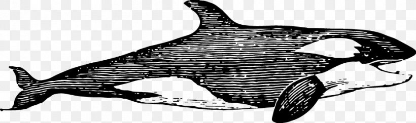 Dolphin Shark, PNG, 938x278px, Dolphin, Animal, Beluga Whale, Black And White, Drawing Download Free