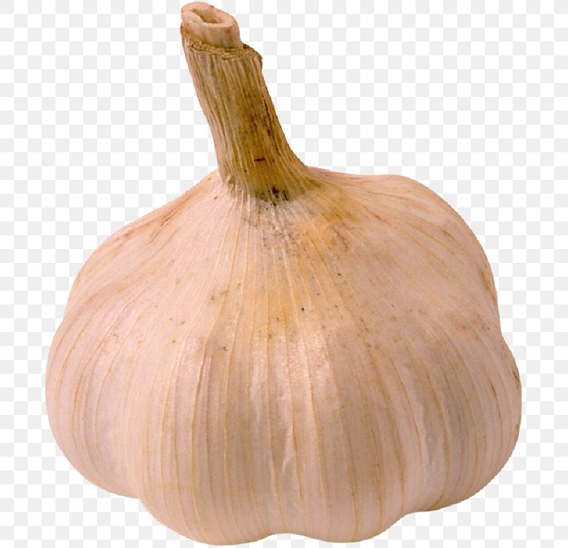 Elephant Garlic Shallot Yellow Onion Vegetable, PNG, 694x792px, Elephant Garlic, Bell Pepper, Bulb, Chili Pepper, Food Download Free