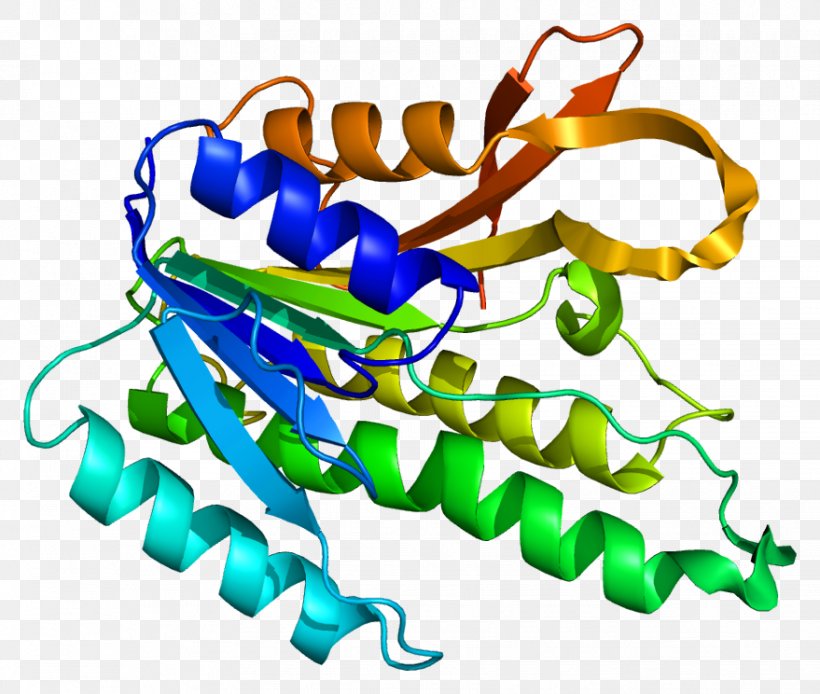 QDPR Phenylalanine Hydroxylase Gene Tyrosine Hydroxylase Tetrahydrobiopterin, PNG, 879x744px, Phenylalanine Hydroxylase, Animal Figure, Area, Body Jewelry, Cell Download Free