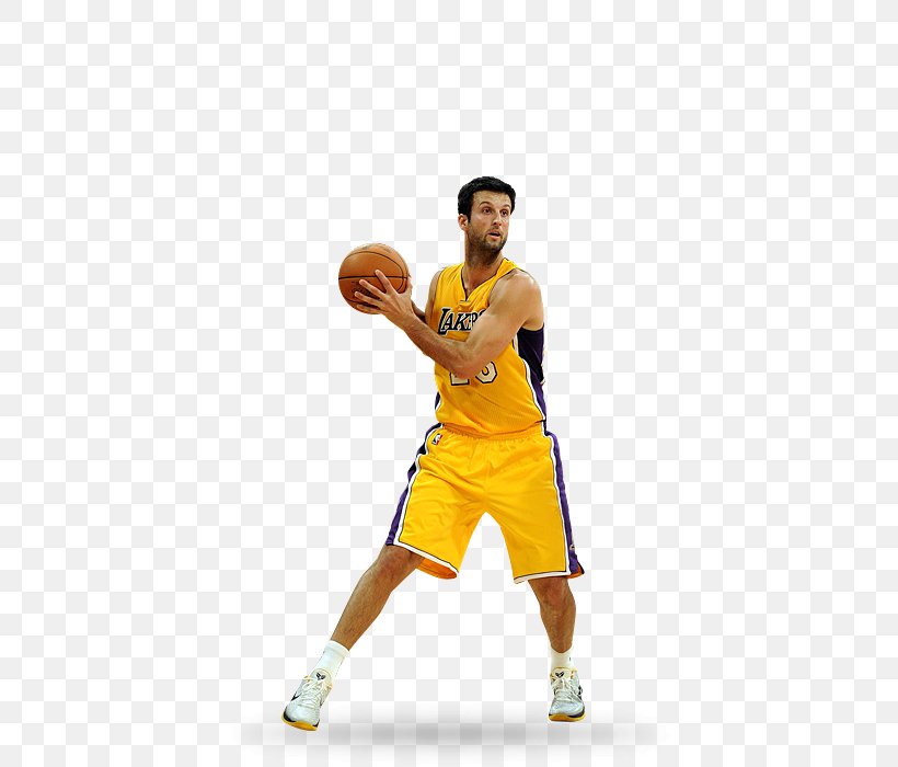 Basketball 2006–07 NBA Season NBA Development League NFL Jersey, PNG, 440x700px, Basketball, Arm, Ball, Ball Game, Baseball Equipment Download Free