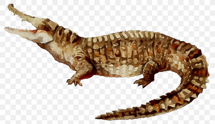 Gila Monster Gecko Fauna Dinosaur Crocodiles, PNG, 1055x610px, Gila Monster, Animal, Animal Figure, Claw, Crocodiles Download Free