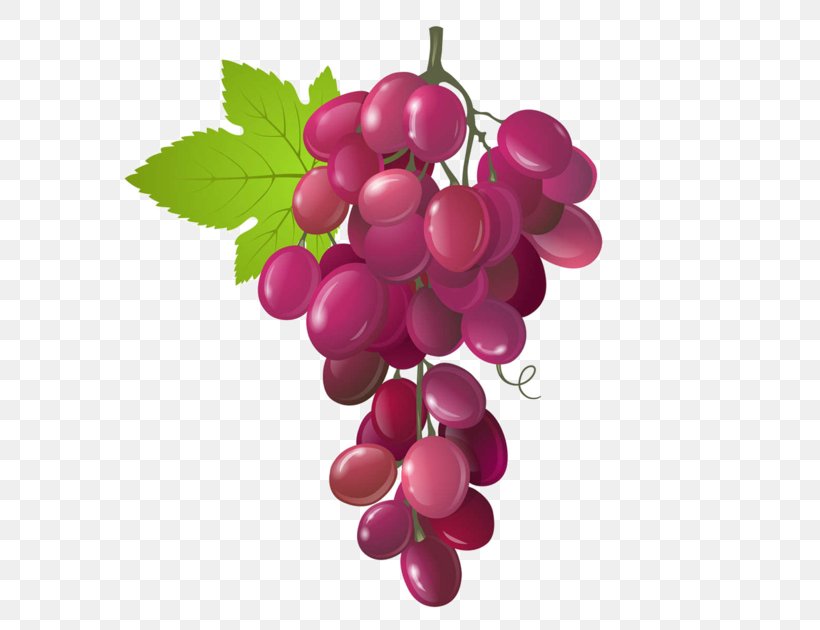Sultana Grape Wine, PNG, 600x630px, Sultana, Berry, Drawing, Flowering Plant, Food Download Free