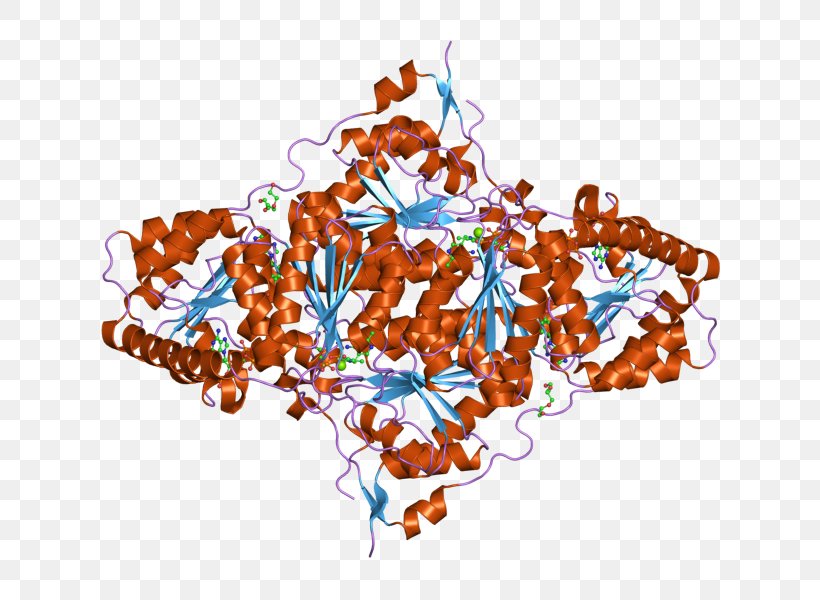 Thymidine Kinase From Herpesvirus Ganciclovir Antiviral Drug, PNG, 800x600px, Thymidine Kinase, Aciclovir, Antiviral Drug, Art, Herpes Simplex Download Free