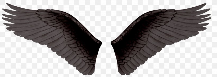 Wing Clip Art, PNG, 2598x928px, Editing, Drawing, Image Editing, Neck, Photography Download Free
