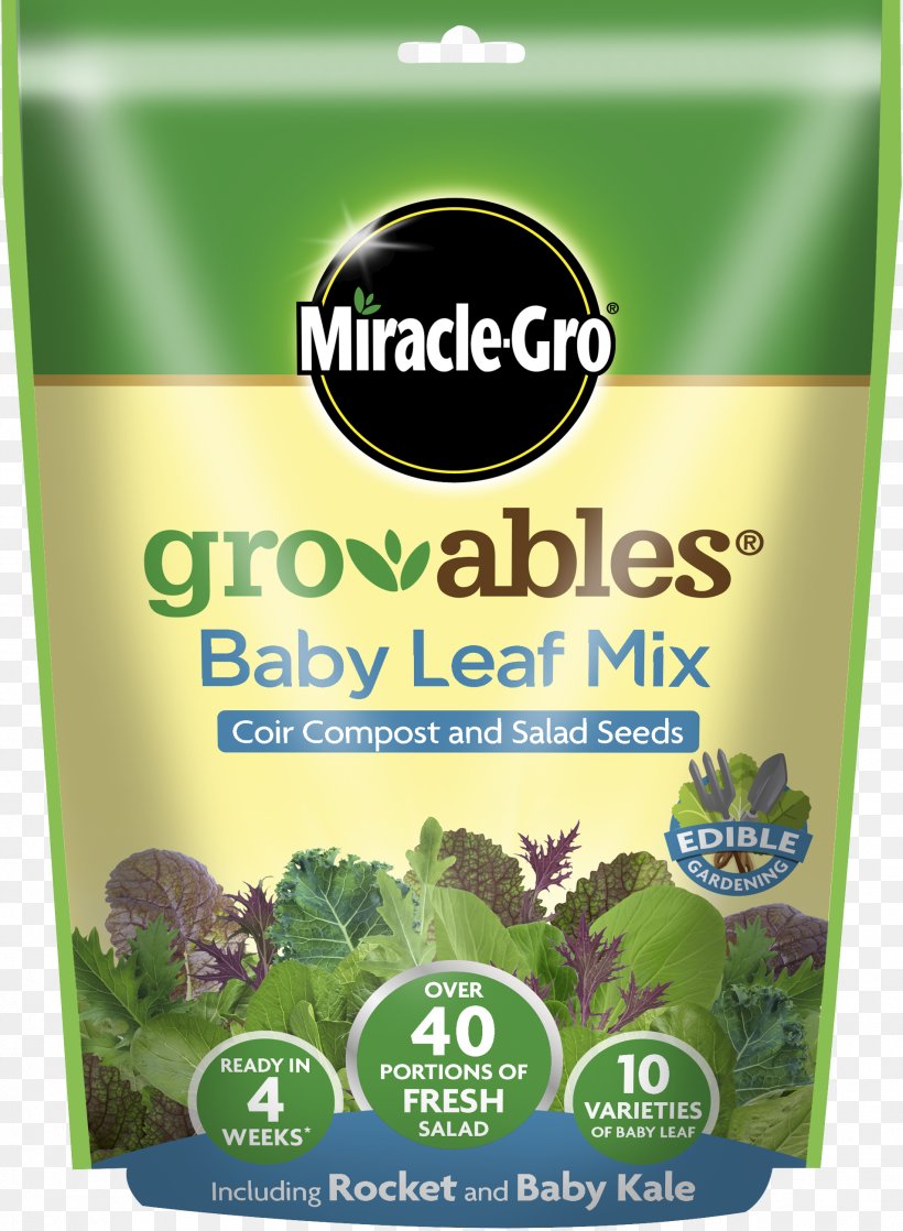 Mesclun Caesar Salad Herb Vegetarian Cuisine Miracle-Gro, PNG, 1906x2600px, Mesclun, Basil, Caesar Salad, Food, Grass Download Free