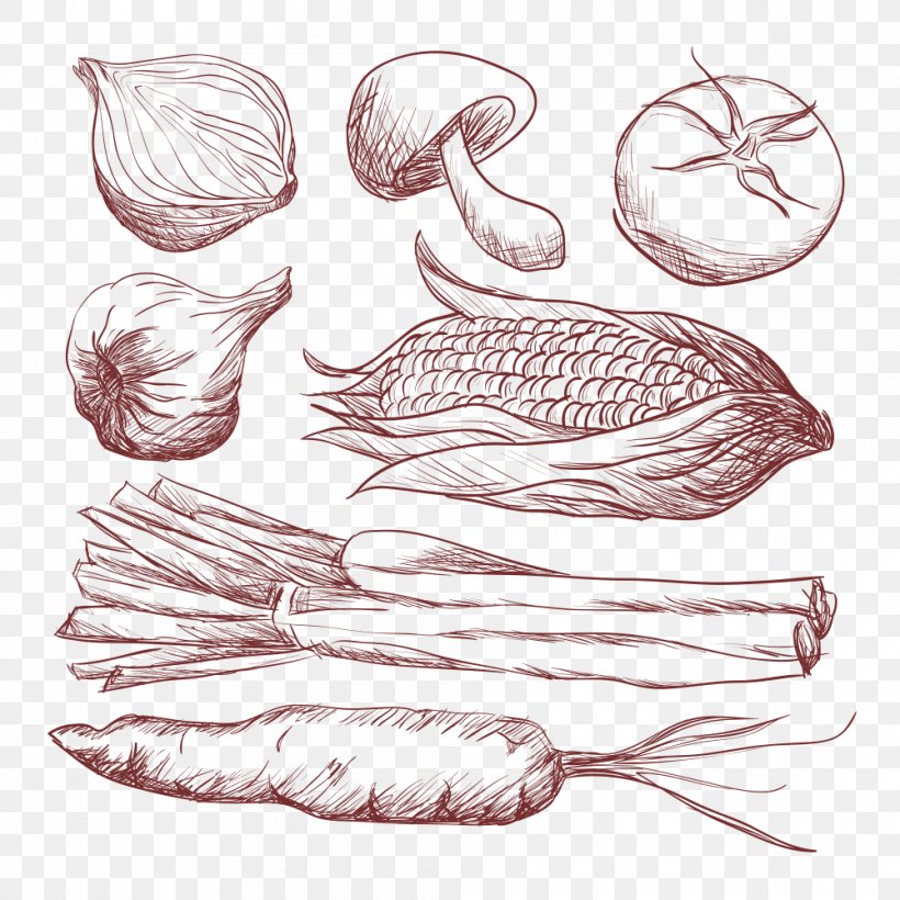Vegetable Garlic, PNG, 1000x1000px, Vegetable, Allium Fistulosum, Arm, Carrot, Drawing Download Free