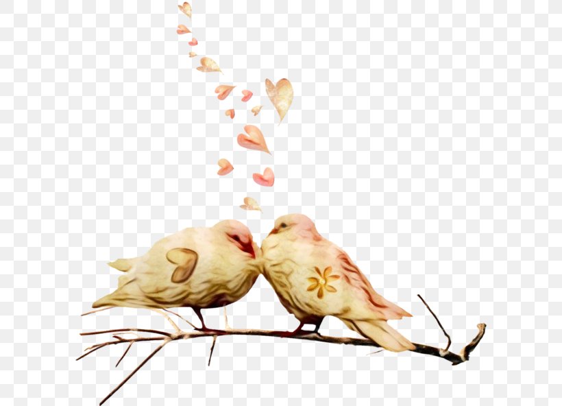 Watercolor Flower Background, PNG, 600x592px, Watercolor, Beak, Bird, Branch, Chicken Download Free