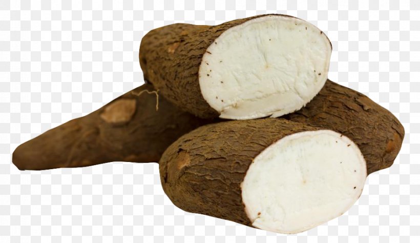 Cassava Food Tapioca Vegetable Tuber, PNG, 938x543px, Cassava, Cooking, Emaze, Food, Ingredient Download Free