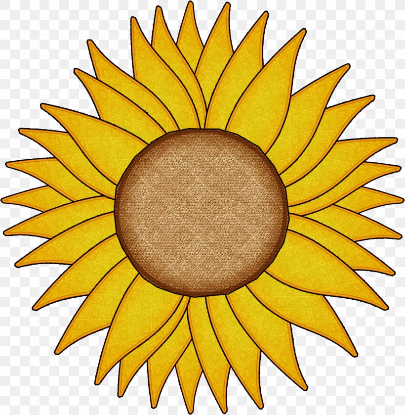 Clip Art, PNG, 1123x1150px, Sunburst, Blog, Daisy Family, Drawing, Flower Download Free