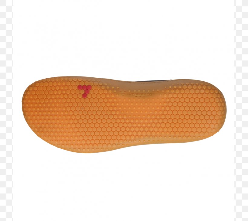 Shoe Vivobarefoot Leather Gobi Desert Swimrun, PNG, 800x731px, Shoe, Brand, Canvas, Footwear, Gobi Desert Download Free