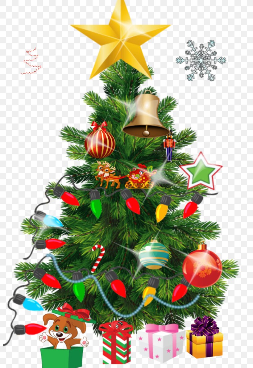 Christmas Tree Christmas Ornament Fir, PNG, 800x1192px, Christmas Tree, Christmas, Christmas Decoration, Christmas Ornament, Conifer Download Free