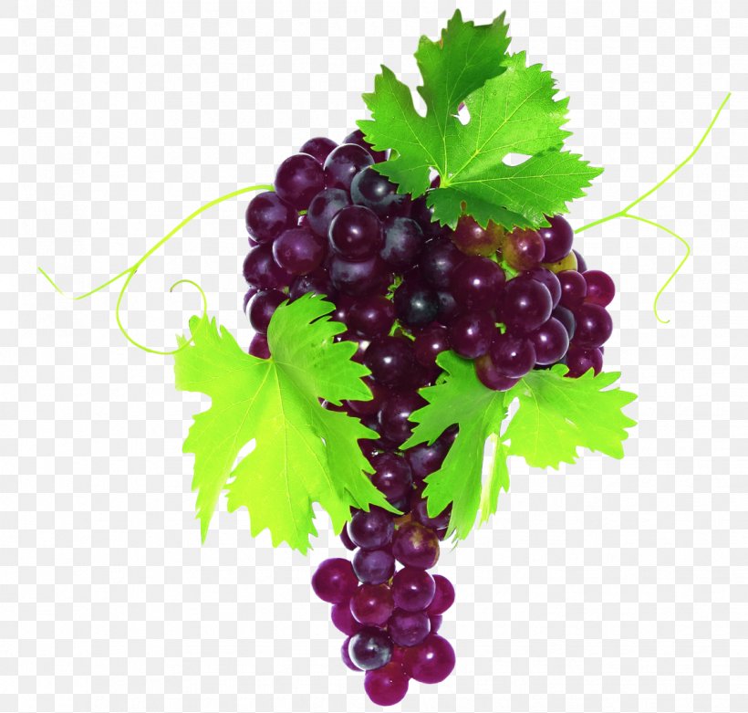 Common Grape Vine Fruit Vegetable Grape Leaves, PNG, 1133x1080px, Common Grape Vine, Auglis, Berry, Boysenberry, Currant Download Free