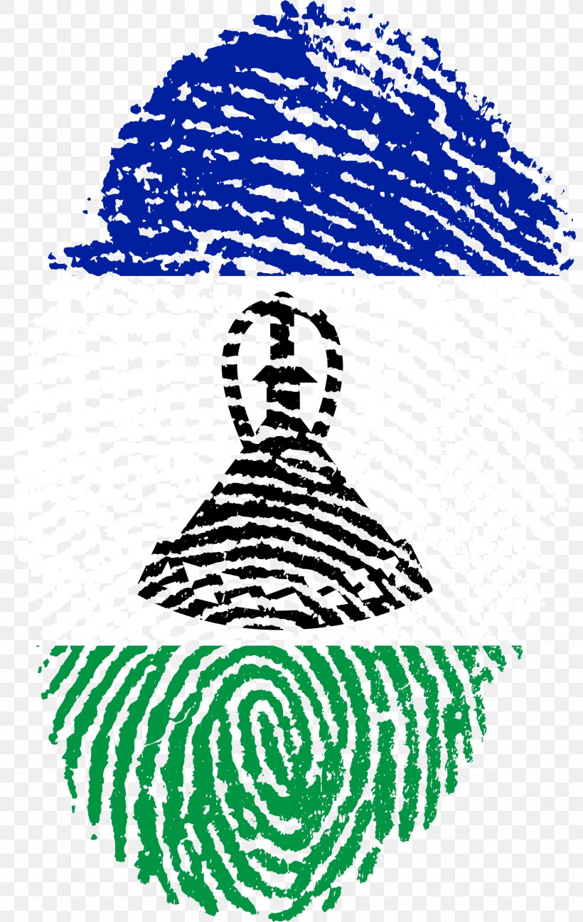 Fingerprint Scanner Biometrics Image, PNG, 1573x2488px, Fingerprint, Area, Art, Biometrics, Black And White Download Free