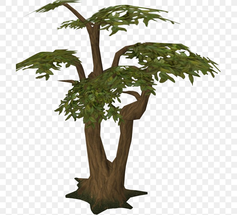 Trunk Tree Stump Old School RuneScape Jungle, PNG, 709x744px, Trunk, Asgarnia, Bonsai, Branch, Flowerpot Download Free