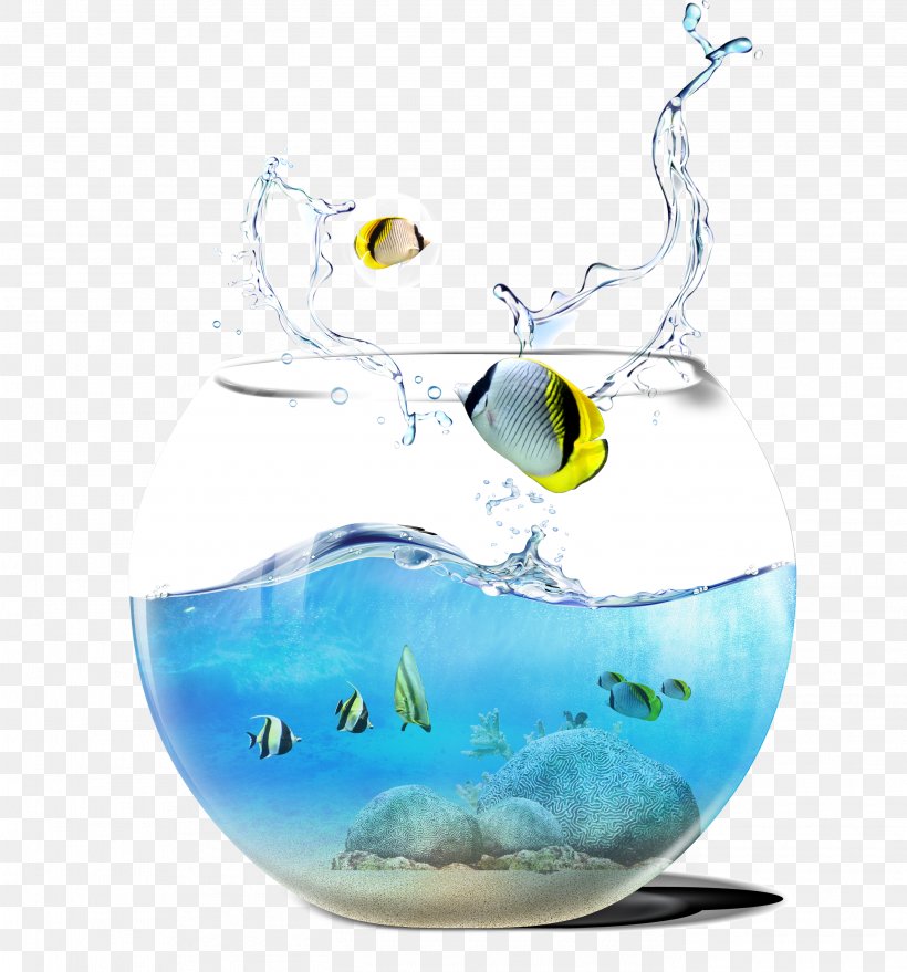 Aquarium, PNG, 2796x2999px, Aquarium, Aqua, Fish, Glass, Liquid Download Free