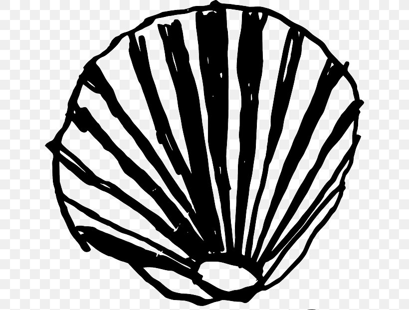 Clam Seashell Conch Clip Art, PNG, 640x622px, Clam, Black And White, Conch, Conchology, Invertebrate Download Free