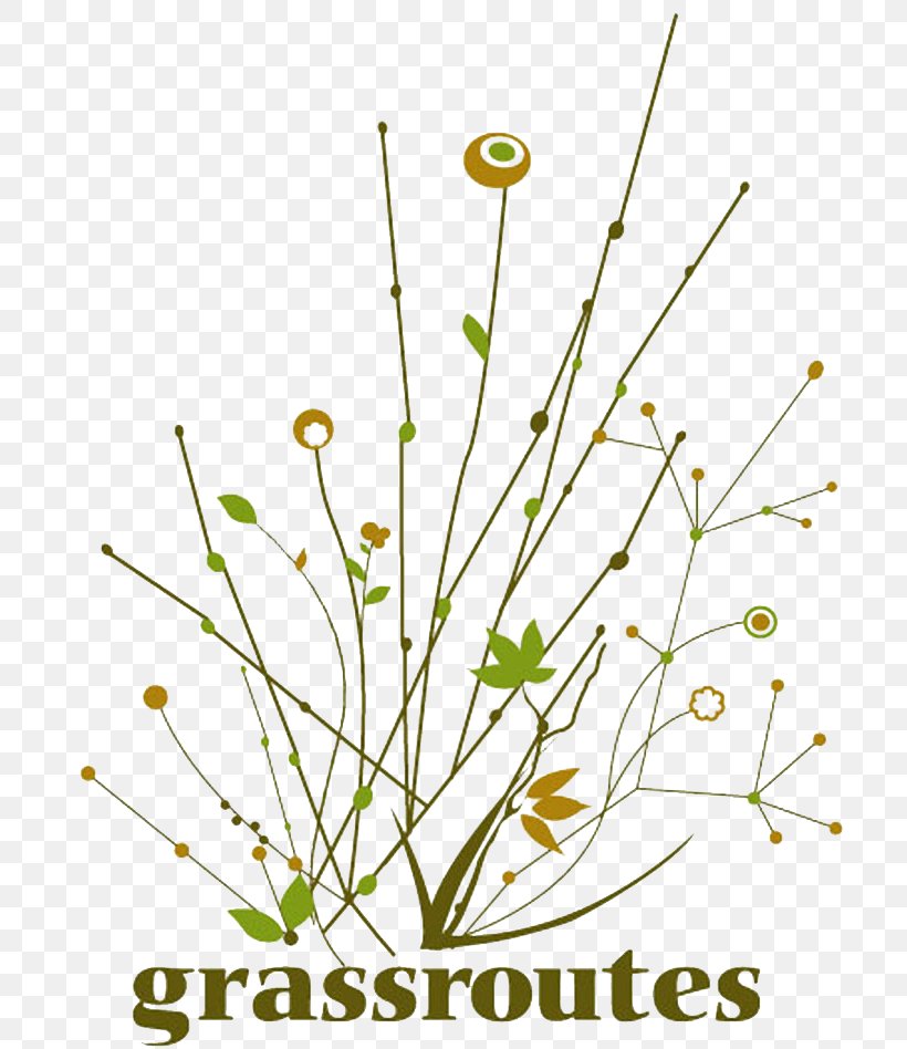 Grassroutes Purushwadi Dehene Wanjulshet Camera And Shorts Western Ghats, PNG, 748x948px, Western Ghats, Branch, Cut Flowers, Fireflies, Flora Download Free