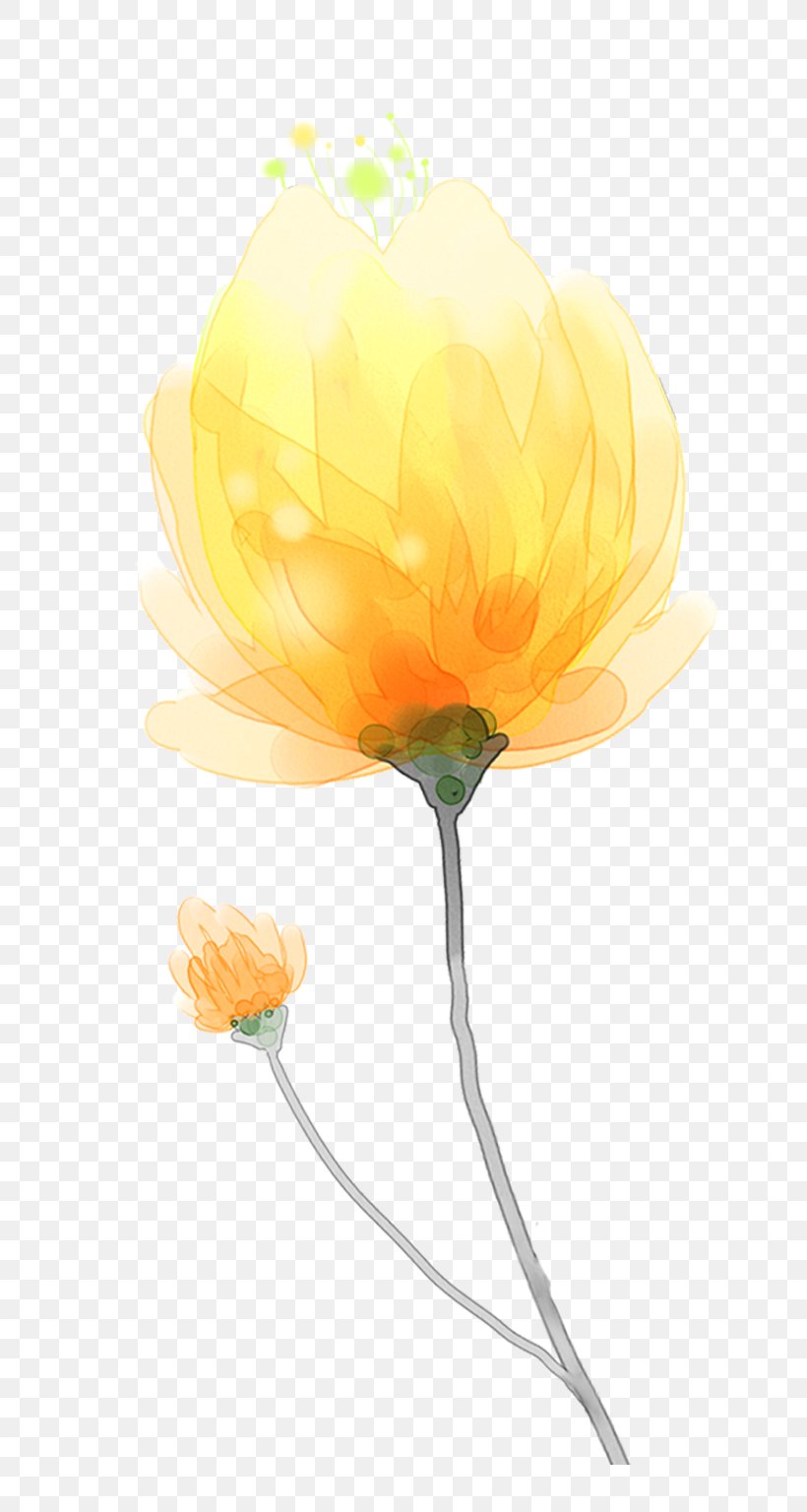 Watercolor Painting Yellow Computer Software, PNG, 800x1536px, Watercolor Painting, Computer Software, Cut Flowers, Designer, Floral Design Download Free
