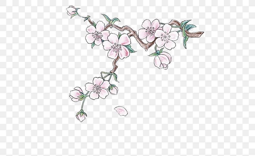 Cherry Blossom, PNG, 500x504px, Branch, Blossom, Cherry Blossom, Flower, Pedicel Download Free