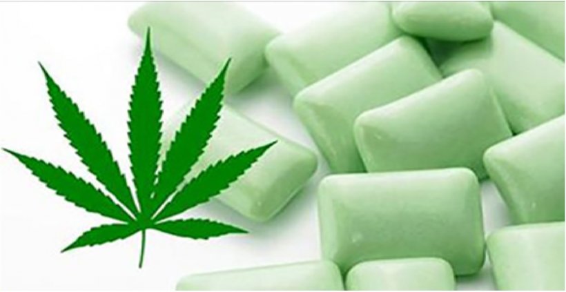 Chewing Gum Cannabis Fibromyalgia Pain Management, PNG, 1676x866px, Chewing Gum, Alternative Medicine, Brand, Cannabis, Chewing Download Free