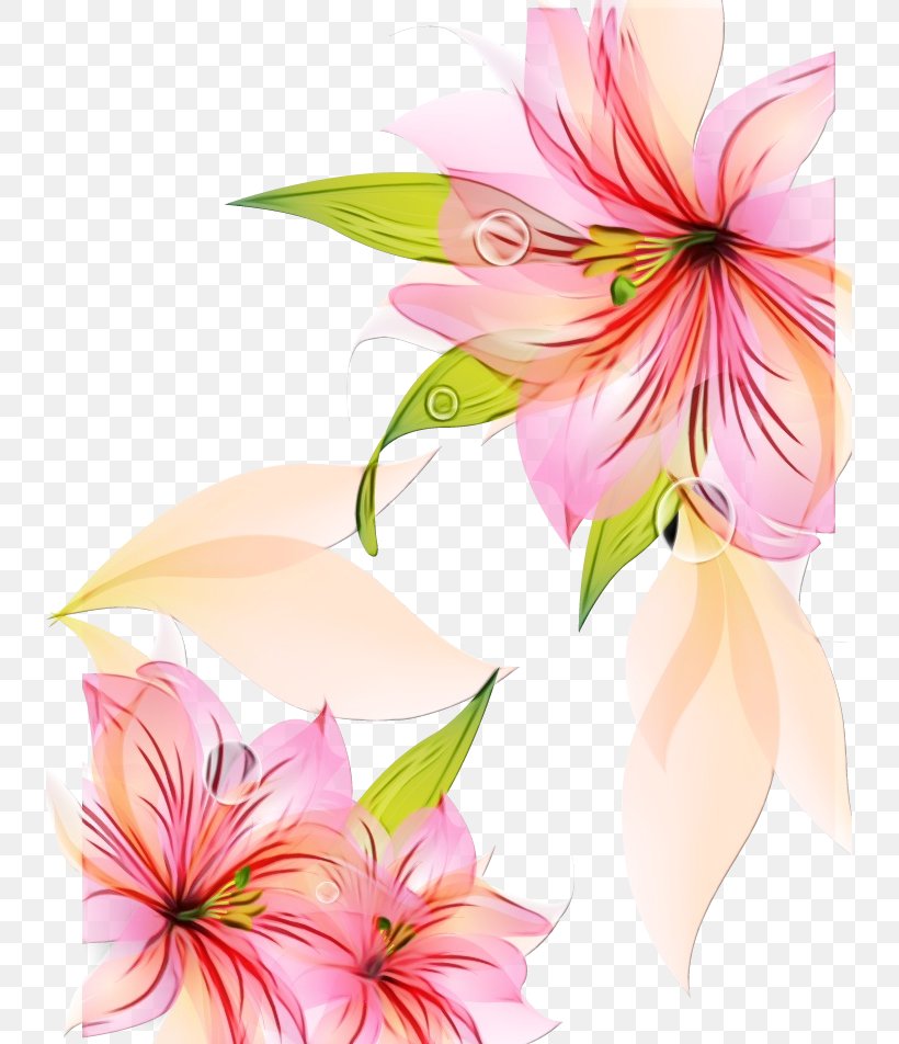 Flower Lily Vector Graphics Image Design, PNG, 735x952px, Flower, Alstroemeriaceae, Amaryllis Belladonna, Art, Botany Download Free