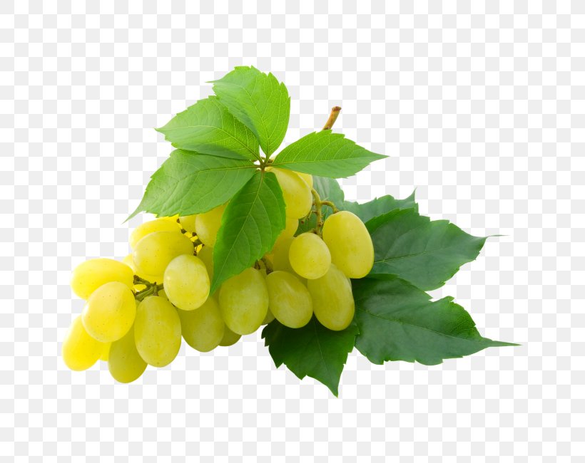 Kyoho Grape Leaves Clip Art, PNG, 650x650px, Kyoho, Common Grape Vine, Food, Fruit, Grape Download Free