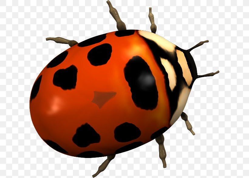Ladybird Beetle 2403 (عدد) Clip Art, PNG, 627x587px, 2017, Ladybird Beetle, Arthropod, Beetle, Blog Download Free