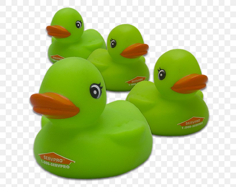 Rubber Duck Natural Rubber Baths Toy, PNG, 710x650px, Duck, Baths, Beak, Bird, Ducks Geese And Swans Download Free