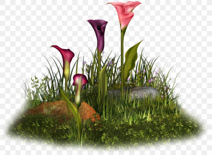 Flower Floral Design Final Fantasy II Floristry Petal, PNG, 1440x1051px, Flower, Deviantart, Final Fantasy Ii, Flora, Floral Design Download Free
