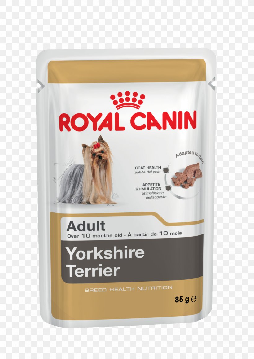 Yorkshire Terrier Cat Dog Food Royal Canin GR, PNG, 1240x1754px, Yorkshire Terrier, Breed, Cat, Dog, Dog Breed Download Free