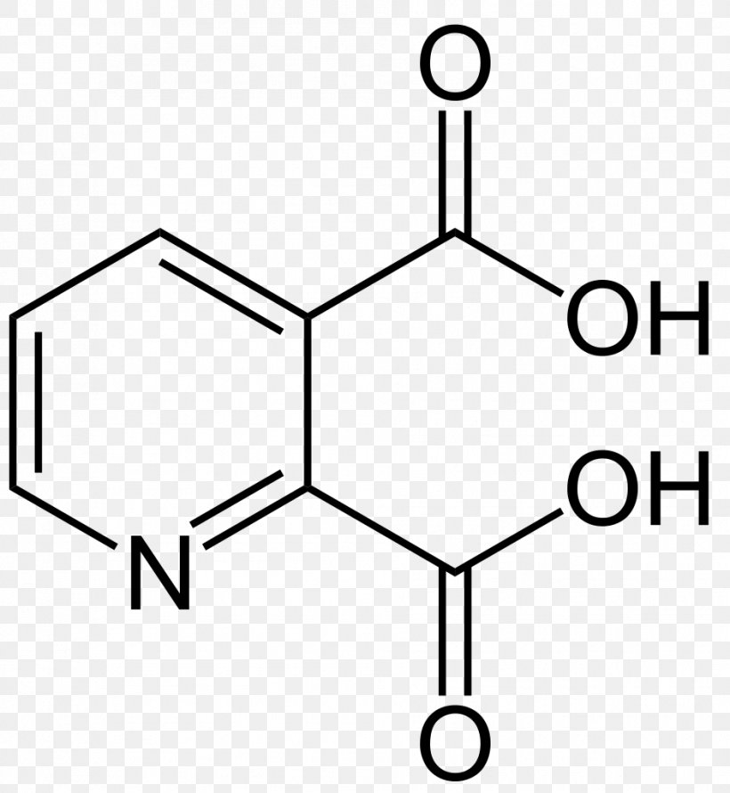 Lactic Acid Carboxylic Acid Phthalic Acid Amino Acid, PNG, 942x1023px, Acid, Amino Acid, Anthranilic Acid, Area, Benzoic Acid Download Free