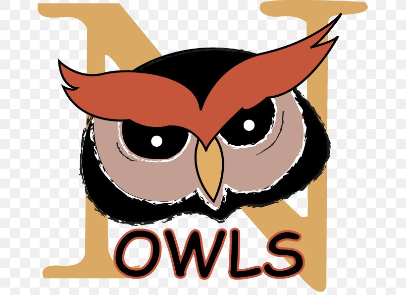 Owl National Primary School Clip Art, PNG, 667x595px, Owl, Academy, Artwork, Beak, Bird Download Free