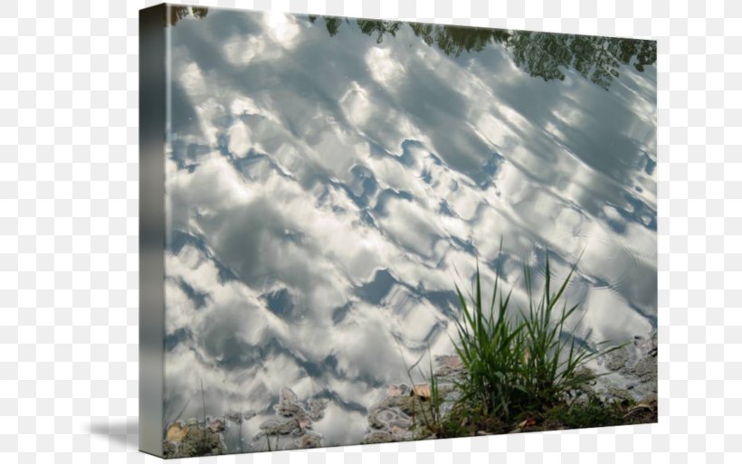 Stock Photography Picture Frames Sky Plc, PNG, 650x513px, Stock Photography, Cloud, Grass, Landscape, Photography Download Free