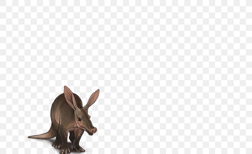 Domestic Rabbit Hare Macropodidae Fauna, PNG, 640x500px, Domestic Rabbit, Fauna, Hare, Horn, Macropodidae Download Free