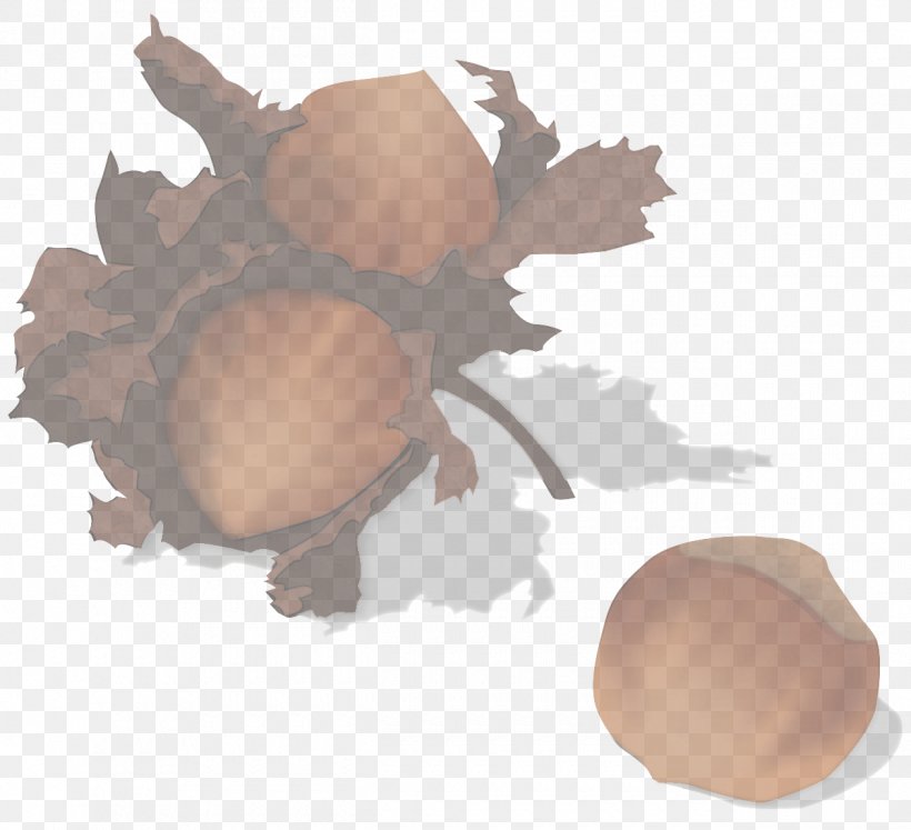 Egg, PNG, 1260x1149px, Brown, Egg, Leaf, Plant, Tree Download Free