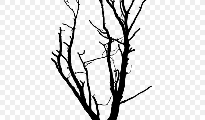 Branch Tree Twig White Leaf, PNG, 640x480px, Branch, Blackandwhite, Leaf, Plant, Plant Stem Download Free