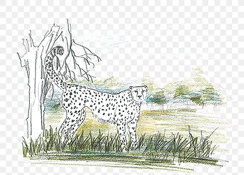 Cheetah Leopard Cat Animal Mammal, PNG, 750x588px, Cheetah, Animal, Art, Artwork, Big Cat Download Free