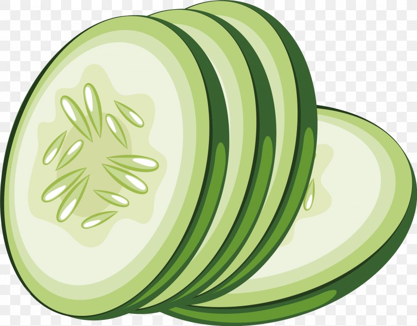 Clip Art Vector Graphics Cucumber Transparency, PNG, 2586x2024px, Cucumber, Cucumber Gourd And Melon Family, Cucumis, Dishware, Food Download Free