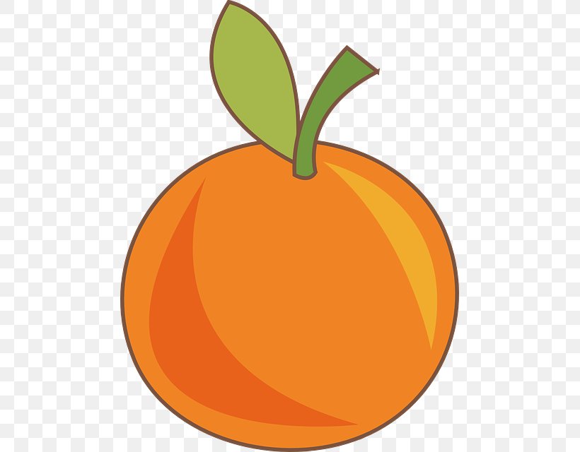 Orange Juice Drawing, PNG, 479x640px, Orange Juice, Apple, Berry, Calabaza, Citrus Download Free