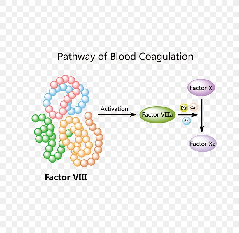 Patisiran Food And Drug Administration Pharmaceutical Drug Logo Polyneuropathy, PNG, 800x800px, Food And Drug Administration, Amyloidosis, Area, Brand, Diagram Download Free