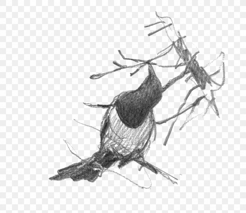 Beak Bird Of Prey Feather Nest, PNG, 1387x1200px, Beak, Artwork, Bird, Bird Of Prey, Black And White Download Free