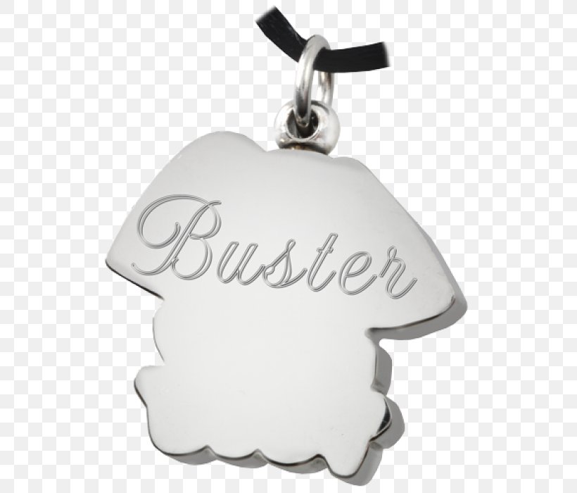 Charms & Pendants Silver Font, PNG, 700x700px, Charms Pendants, Jewellery, Pendant, Silver, White Download Free