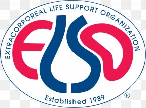 Heart - Extracorporeal Membrane Oxygenation Extracorporeal Life Support Organization Extracorporeal Cardiopulmonary Resuscitation Heart PNG