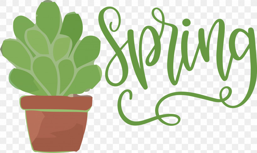 Spring, PNG, 3000x1792px, Spring, Cactus, Flower, Flowerpot, Meter Download Free