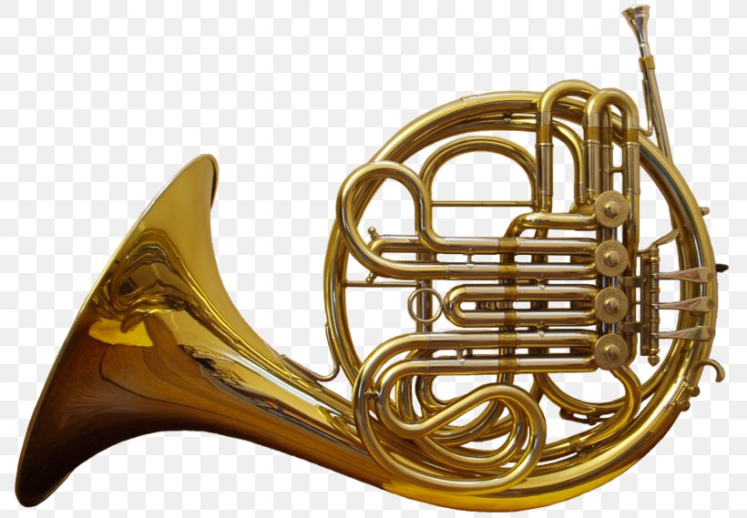 French Horn Musical Instrument Brass Instrument Orchestra, PNG, 800x569px, French Horn, Alto Horn, Brass, Brass Instrument, Clarinet Download Free