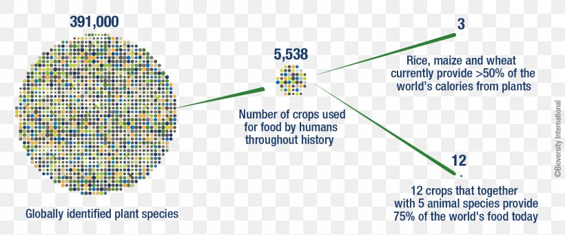 Production System Agricultural Biodiversity Green Revolution, PNG, 1687x702px, System, Agricultural Biodiversity, Area, Cost, Diagram Download Free