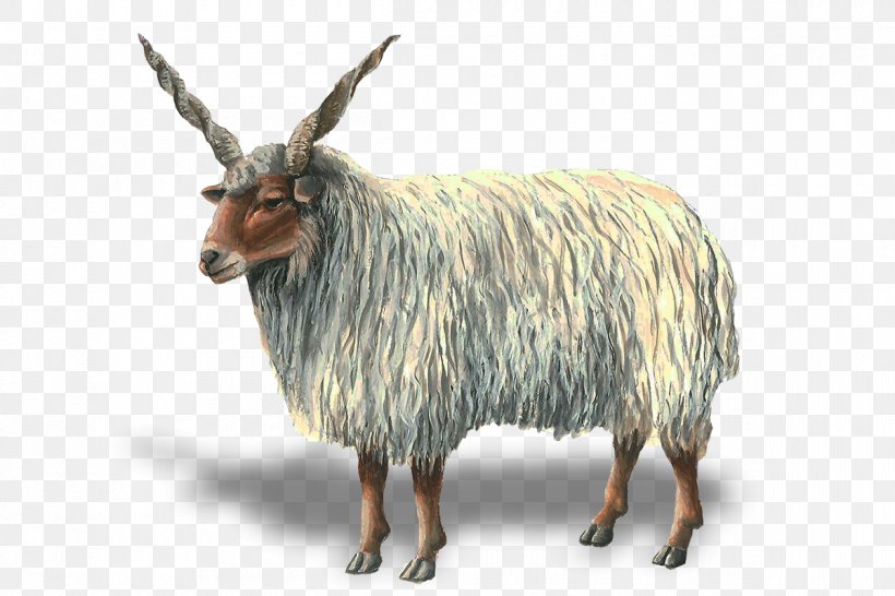 Sheep Goat Argali Antelope Cattle, PNG, 1200x800px, Sheep, Animal, Animal Figure, Antelope, Argali Download Free