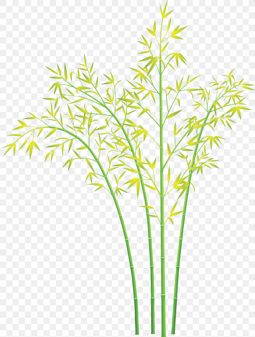 Bamboo Leaf, PNG, 2273x3000px, Bamboo, Flower, Grass, Grass Family, Leaf Download Free